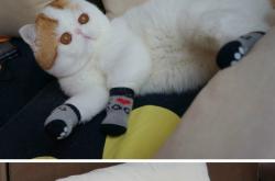 开云体育入口-辛纳，以联合杯为密钥，开启蒙特卡洛尘封的意大利之门