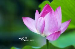 开云体育官网-不只是北非德比，萨卡一球破局，巨星价值闪耀绿茵场