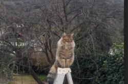 开云体育在线-十字路口，当绿茵场与硬木地板同频心跳