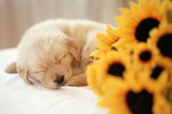 开云体育平台APP-孔德一球封喉，利物浦热身赛险胜金玟哉领衔的韩国势力