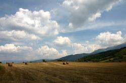 开云体育app-京沪之霸与欧陆之钥，当上海队统治德比，霍勒迪在欧冠点燃接管艺术