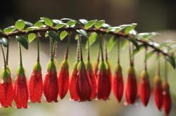 开云sport-引擎咆哮似鹈鹕展翅，F1巴林揭幕战，银箭狂胜红牛58秒