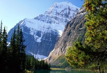 开云体育中国-世界杯晨报，郁金香的团队杰作与桑巴的个人魔法—战术纪律与天赋灵光的双重胜利