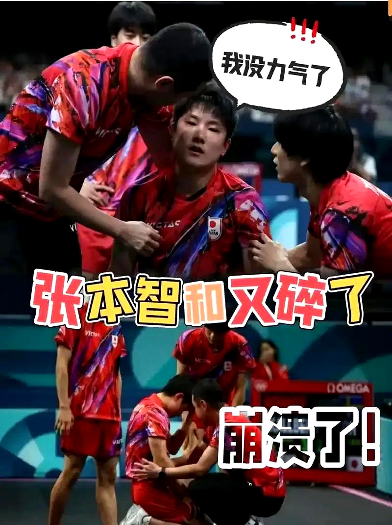 日本乒乓球队绝杀韩国乒乓球队，张本智和统治全场的简单介绍