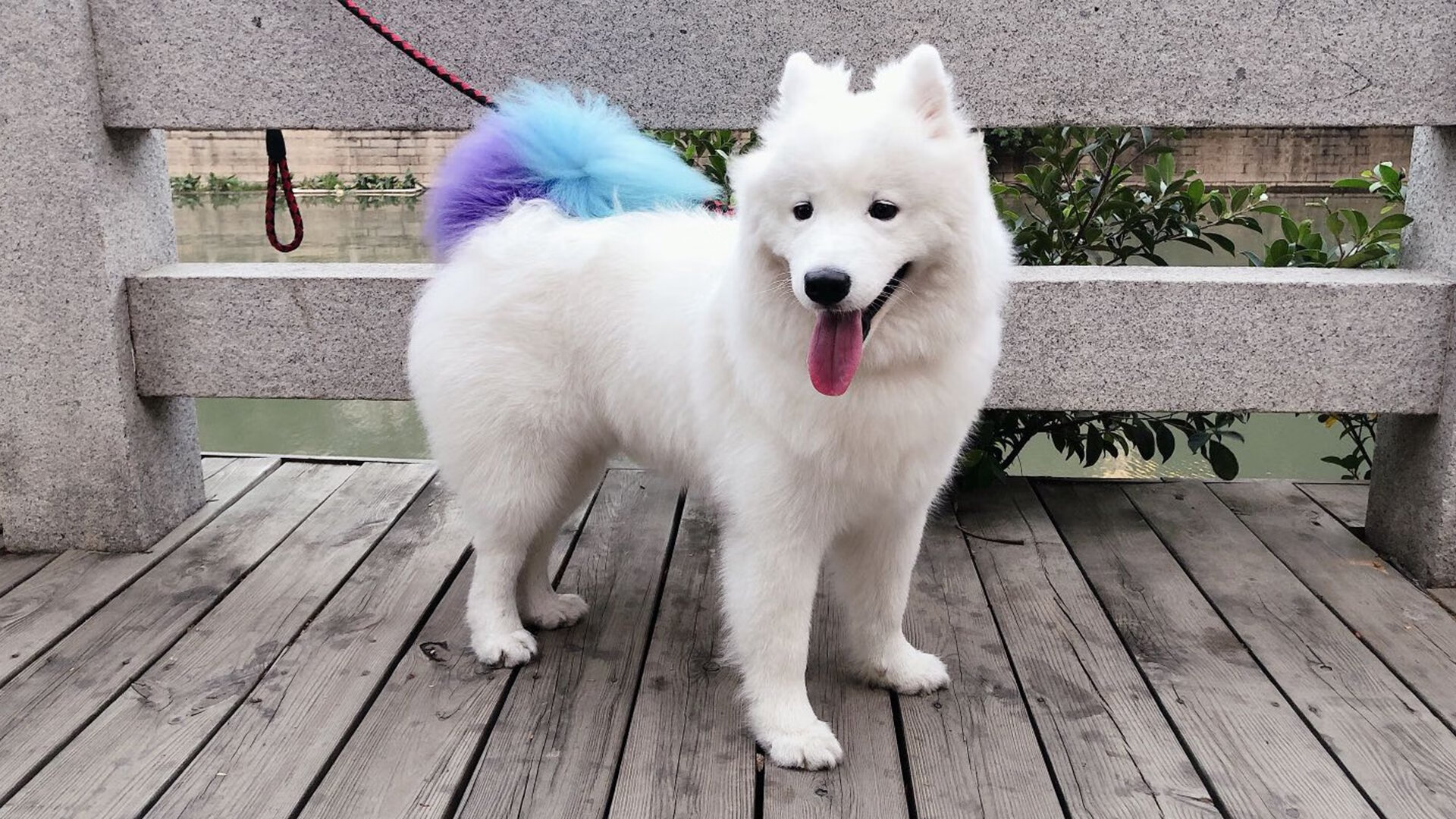 当山西队的兵法穿越时空，一场未发生的碾压如何照亮杜兰特的高光