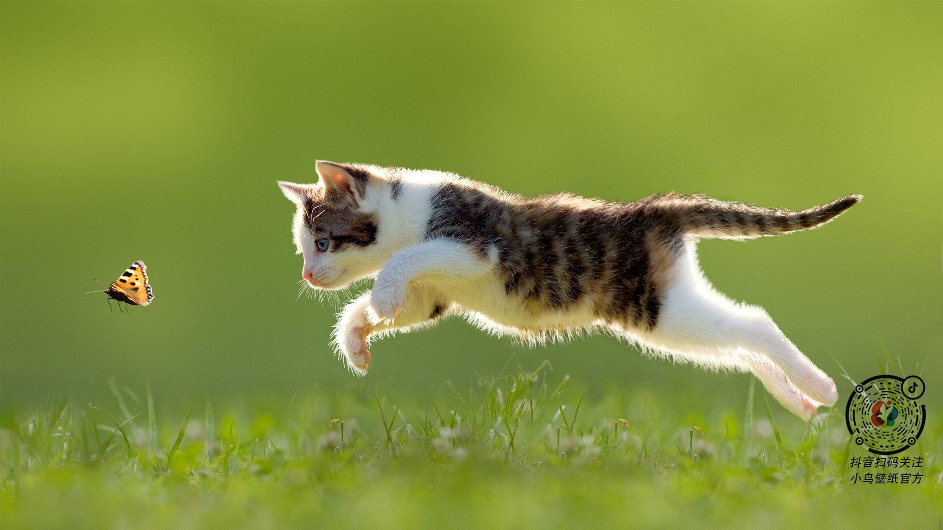 东南亚羽坛巅峰鏖战,印尼队力克马来西亚队,辛杜统治全场展王者风范