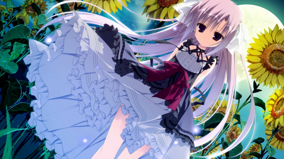 当巨人投下阴影,蒙特卡洛横扫戴维斯杯,梅德韦杰夫的关键制胜如何重新定义网球叙事