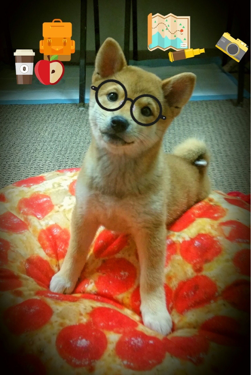 统治全场！郑思维引领韩国队完胜马来西亚