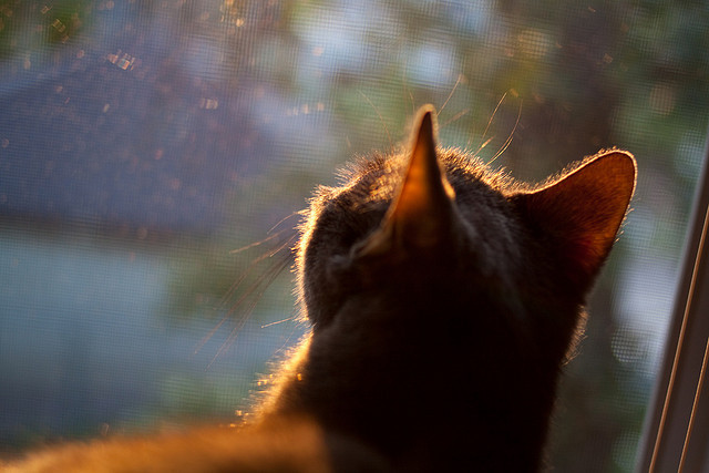 钢铁巨舰碾碎天山风暴，快船团队窒息防守与班凯罗无解单打埋葬新疆