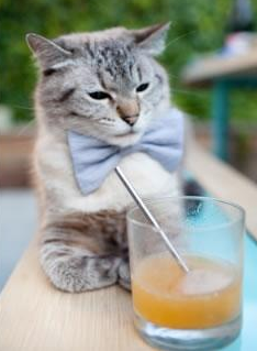 马克西化身时间魔法师！0.8秒极限绝杀，火箭腾空击穿深圳铁幕