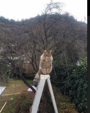 十字路口，当绿茵场与硬木地板同频心跳