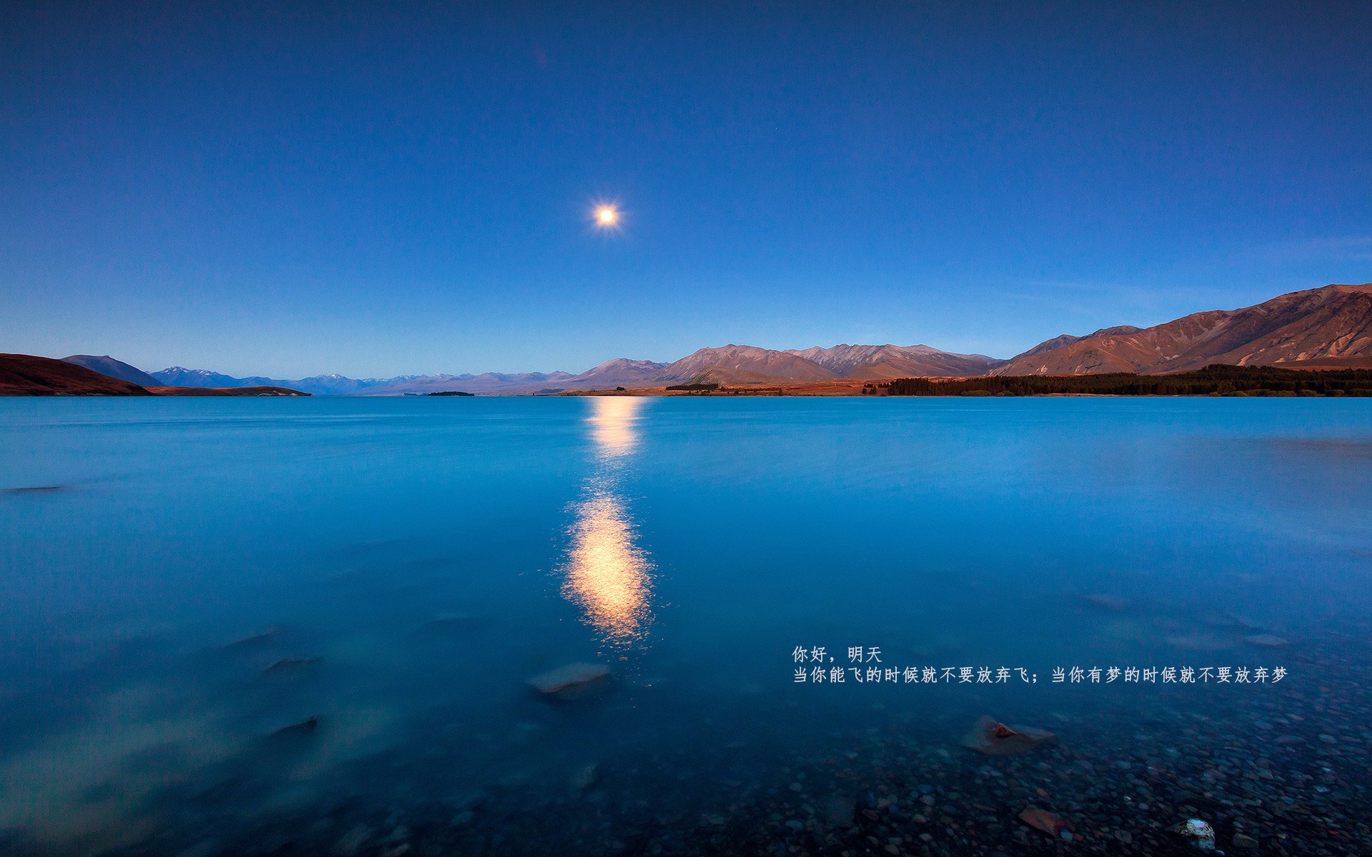 德甲争冠焦点战，塞内加尔力量全面压制芬兰防线，国际球星定胜负