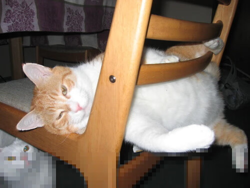 新殖民主义，卡塔尔用资本，英格兰用足球—剖析现代国家的软实力扩张