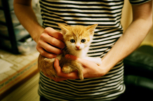 阿尔瓦雷斯,绿茵雕塑家,亲手雕琢墨西哥对阵里昂的胜利轨迹