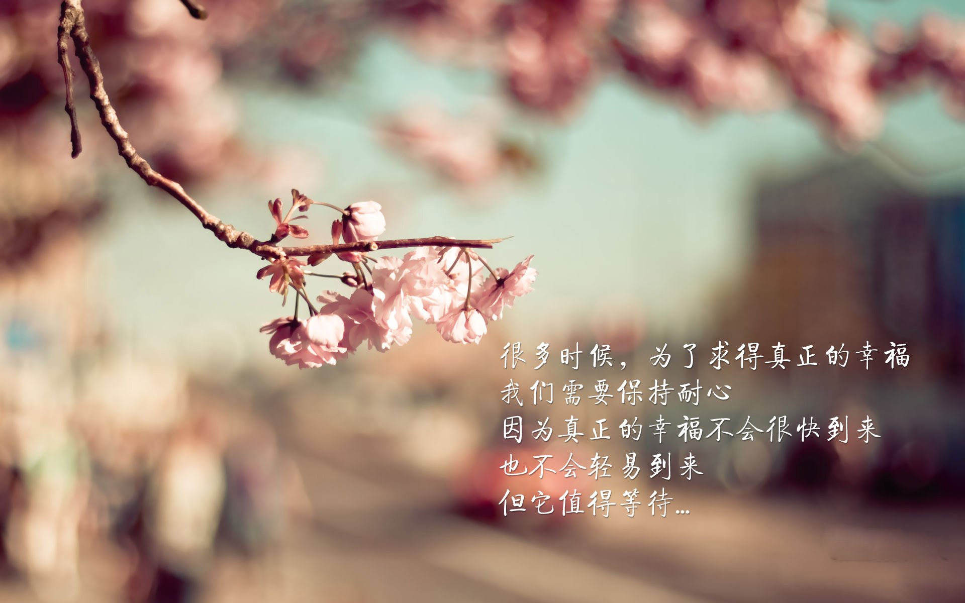 曼城棋盘上的血脉搏动,当丹麦在2026世界杯焦点战血拼自己