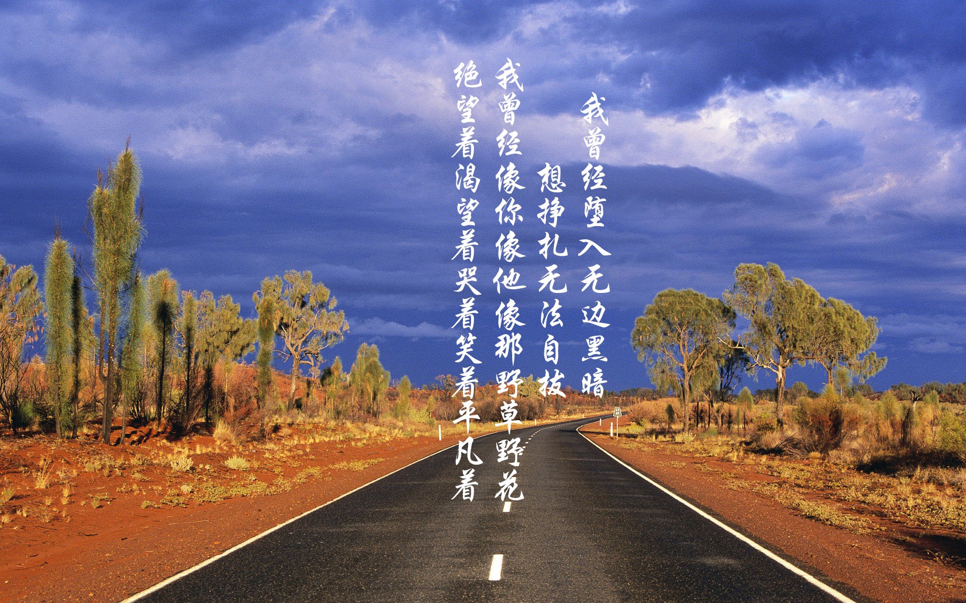 当非洲雄狮撕裂北非铁骑,一场碾压式胜利背后的世界杯争冠启示录