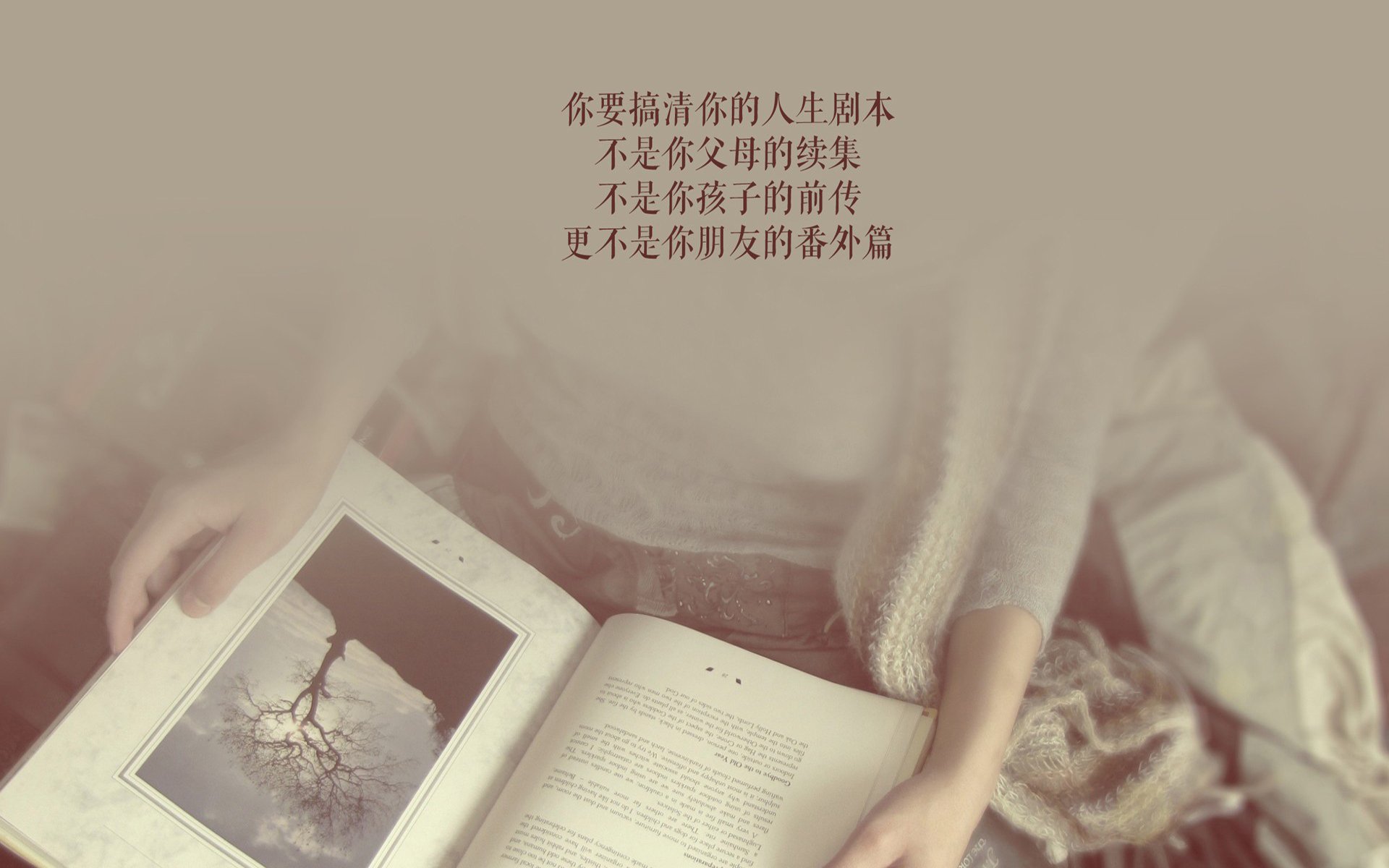 孤星闪耀,齐耶赫的个人英雄主义,挡不住波兰在2026世界杯B组焦点战中的集体意志