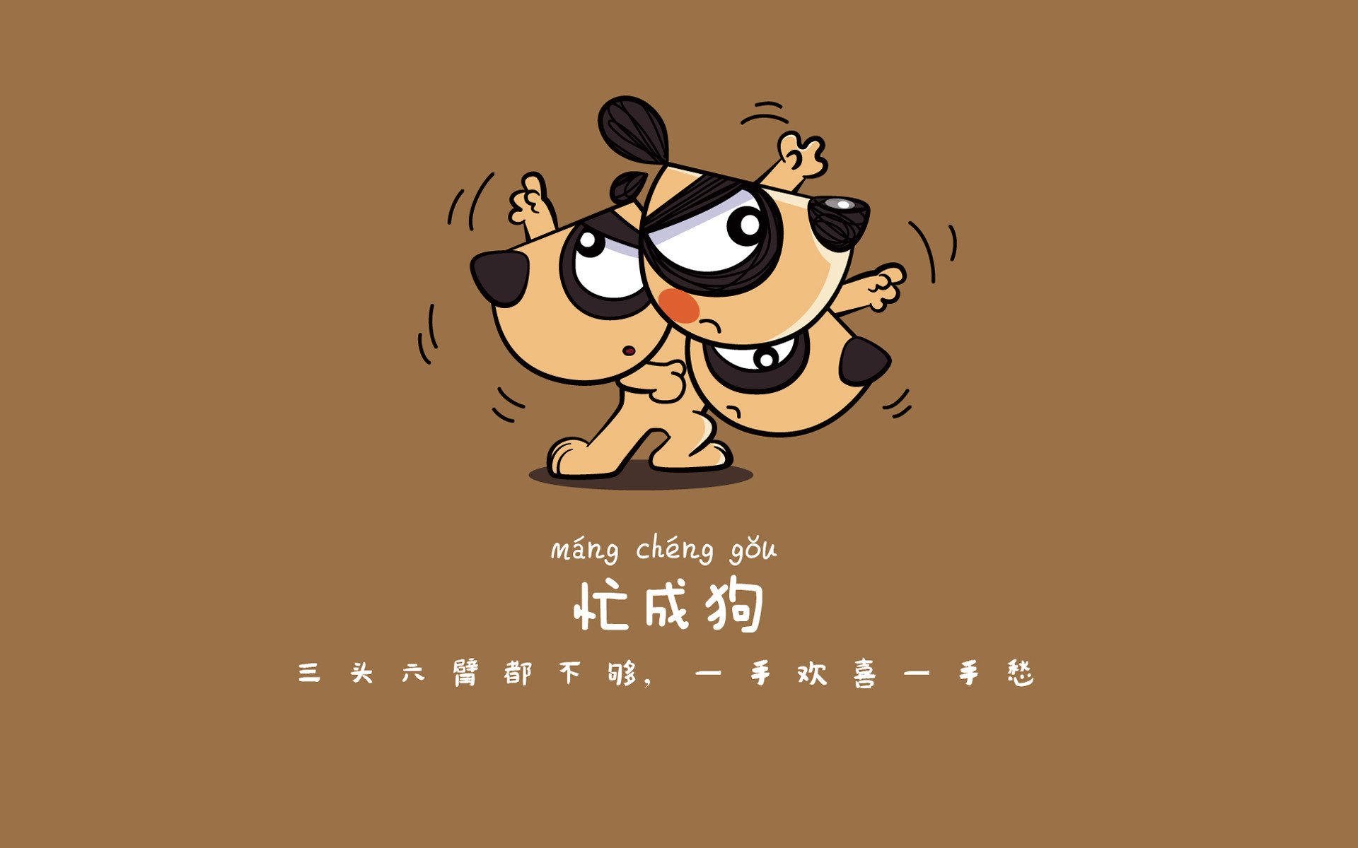 致命一击与替补奇兵,2026世界杯B组,伊朗如何用唯一性撕裂波兰