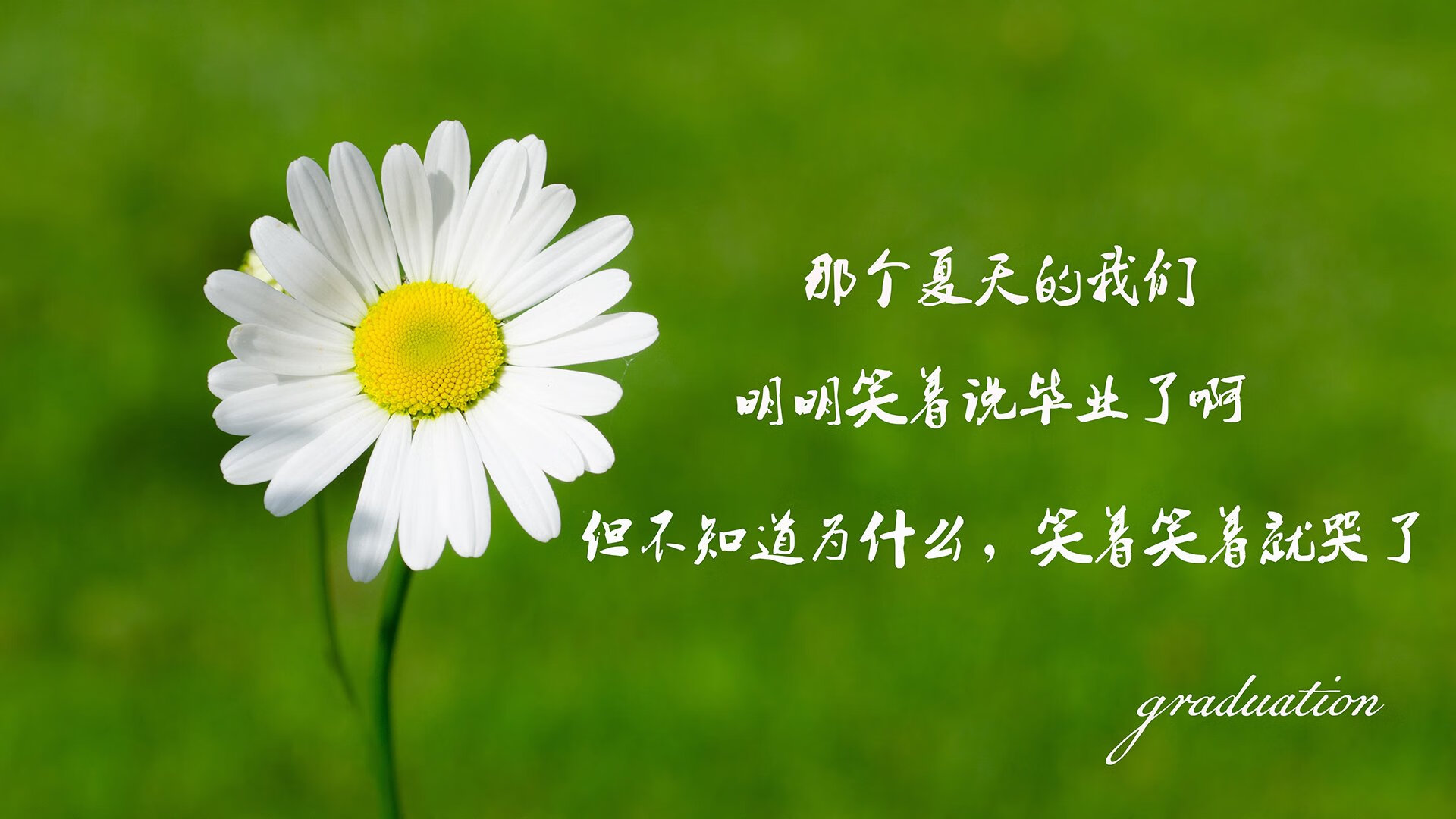 卡萨布兰卡之夜,战术完胜与技术代差—摩洛哥如何以极致边路击碎罗马尼亚的务实防线